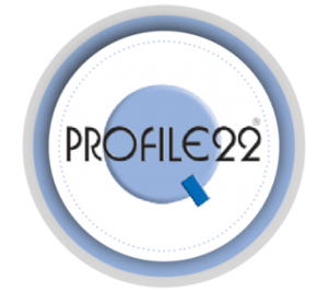 Window Beads Profile 22 Logo